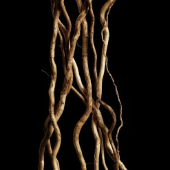 Davidoff Cool Water For Her Reborn Eau de Toilette Spray