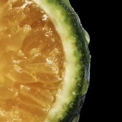 Davidoff Cool Water For Her Reborn Eau de Toilette Spray