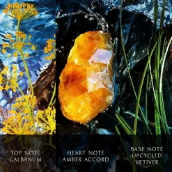 Davidoff Cool Water Reborn Eau de Parfum Spray Intense