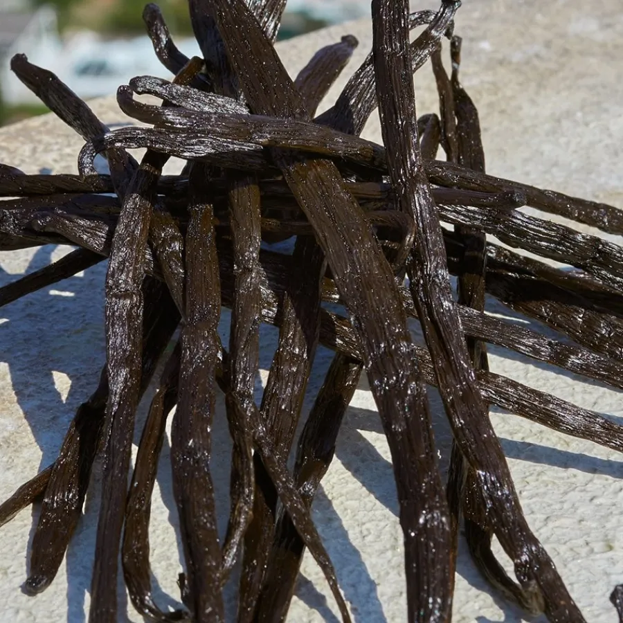 Dolceu0026Gabbana Devotion Eau de Parfum Spray von Dolce&Gabbana Online