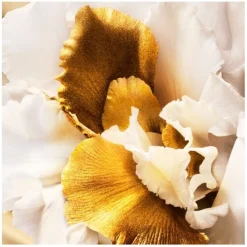 DIOR J'adore Eau de Parfum Roller-Pearl