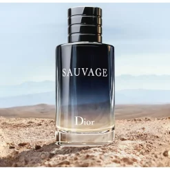 DIOR Sauvage Eau de Toilette Spray