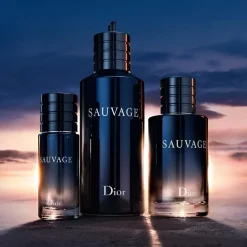 DIOR Sauvage Eau de Toilette Spray