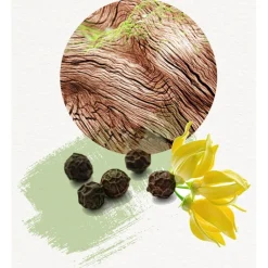 Annayake Dojou for Him Eau de Toilette Spray von