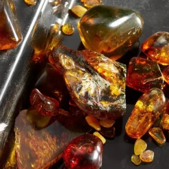 Dolceu0026Gabbana Dolce&Gabbana Q by Dolce&Gabbana Intense Eau de Parfum Spray