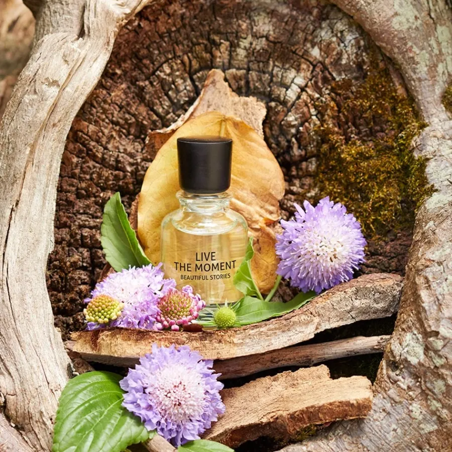 Douglas Collection Beautiful Stories Cherish The Woods Eau de Parfum Spray