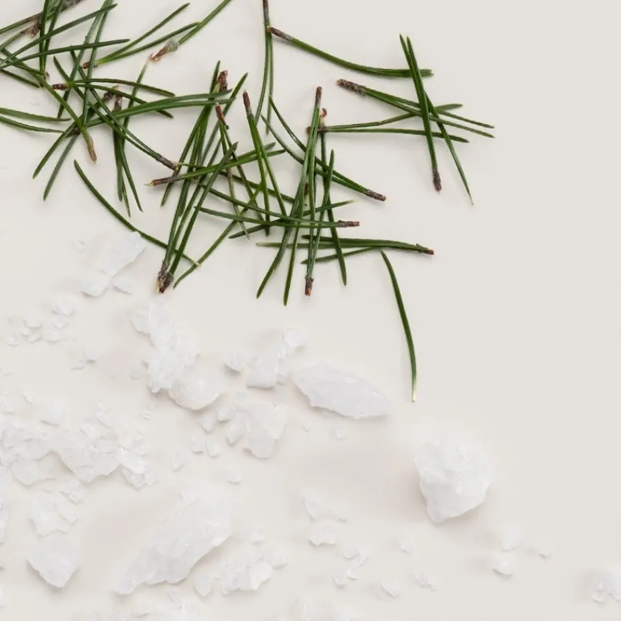 Dr. Hauschka Duschgel Zirbelkiefer und Meersalz