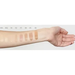 Dr. Hauschka Foundation