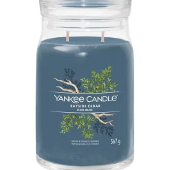 Yankee Candle Duftkerzen Bayside Cedar von