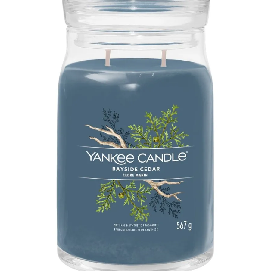 Yankee Candle Duftkerzen Bayside Cedar von