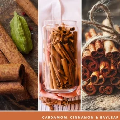 Yankee Candle Duftkerzen Cinnamon Stick von