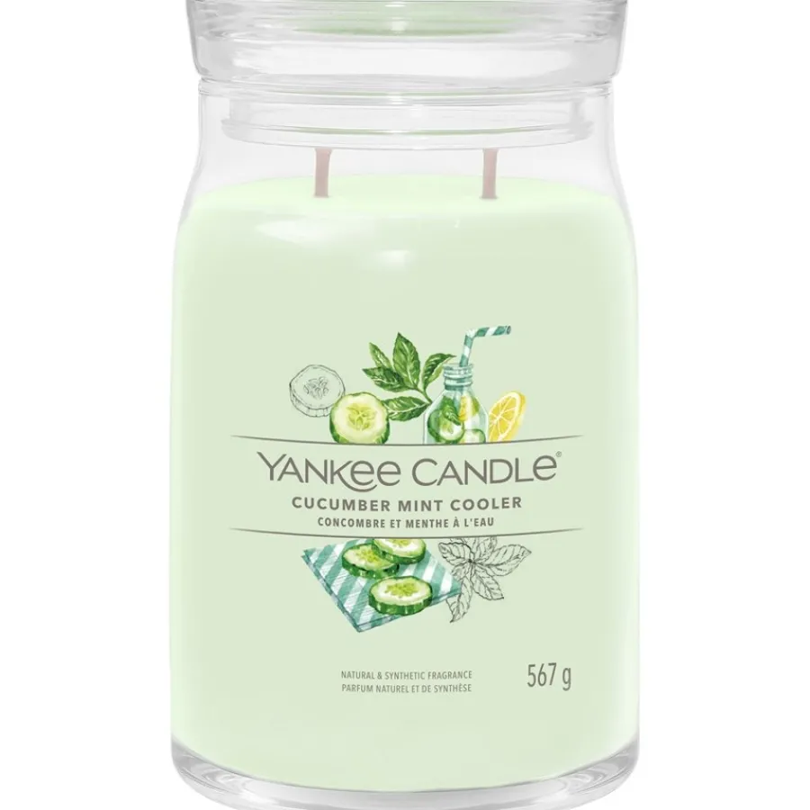 Yankee Candle Duftkerzen Cucumber Mint Cooler von