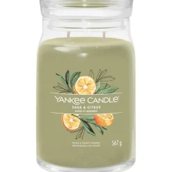 Yankee Candle Duftkerzen Sage & Citrus von