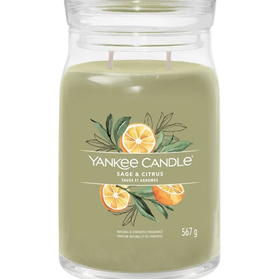 Yankee Candle Duftkerzen Sage & Citrus von