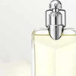 Cartier Déclaration Eau de Toilette Spray von Clearance
