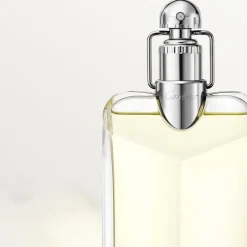 Cartier Déclaration Eau de Toilette Spray von Clearance