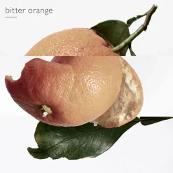 Hermès Eau des Merveilles Eau de Toilette Spray von Hermès Clearance