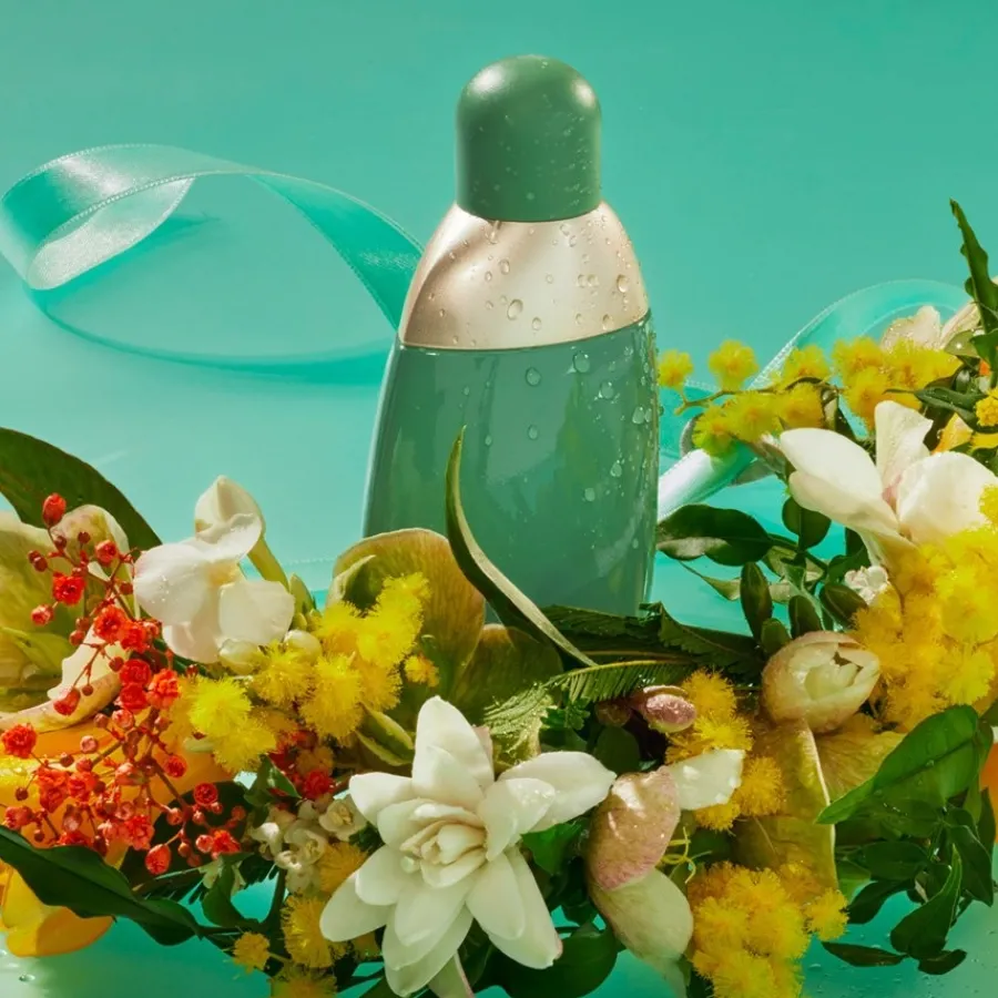 Cacharel Eden Eau de Parfum Spray von Discount