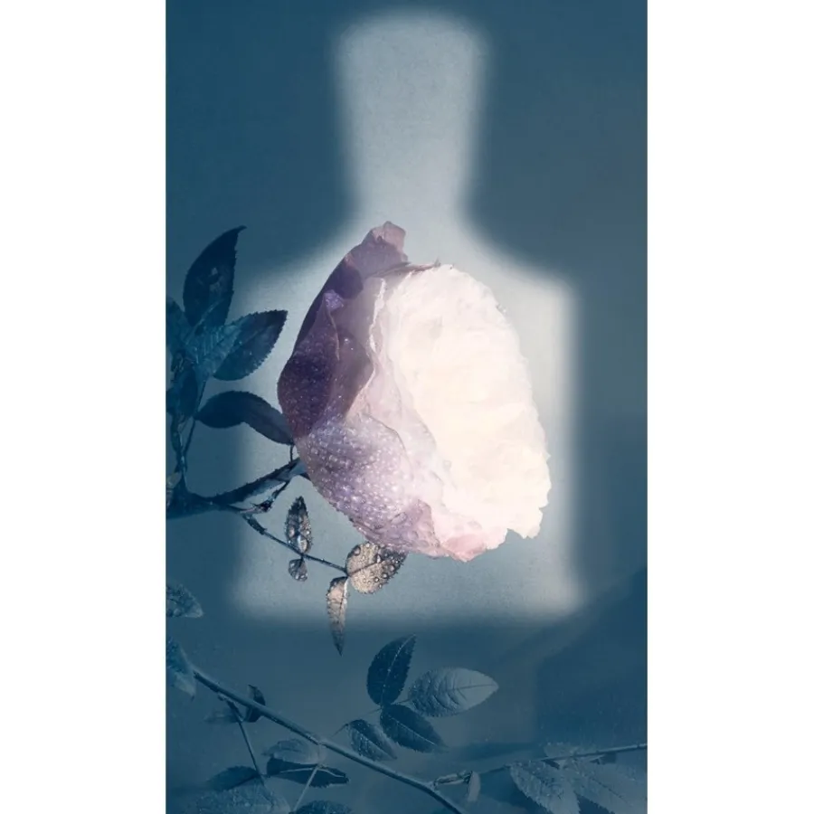 Creed Eladaria Eau de Parfum Spray von