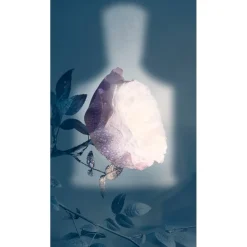 Creed Eladaria Eau de Parfum Spray von