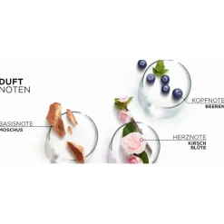 Lu2019Oru00E9al Paris Elvital Hydra Hyaluronic Pure 72H Entfettendes Shampoo von L’Oréal Paris