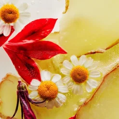 Erno Laszlo Face Care Soothing Relief Hydration Lotion von Online