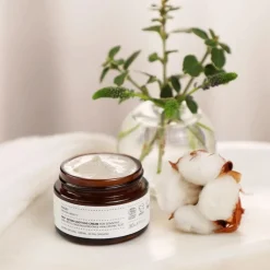 Evolve Organic Beauty Feuchtigkeitspflege Pro+ Ectoin Soothing Cream von