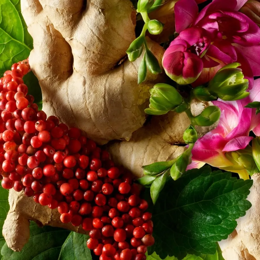 Molton Brown Fiery Pink Pepper Hand Lotion von Clearance