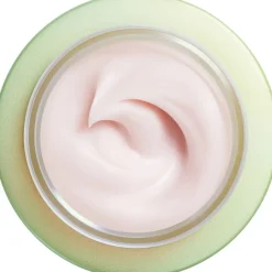 Shiseido Future Solution LX LX Legendary Enmei Ultimate Renewing Cream von
