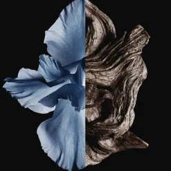 GIVENCHY GENTLEMAN Eau de Toilette Spray Intense von Discount