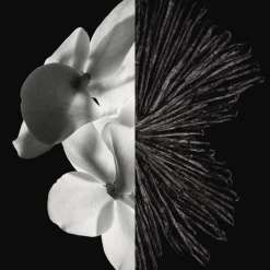 GIVENCHY GENTLEMAN Eau de Parfum Spray von