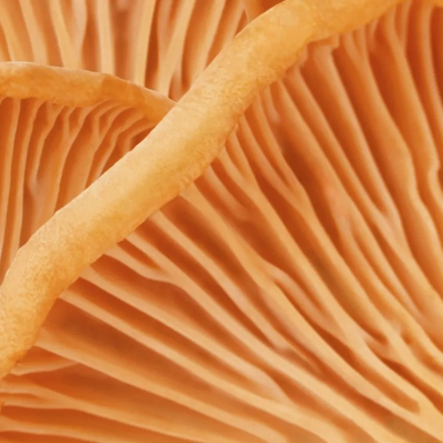 Mu00C1DARA Gesicht HIS. Eye Cream von MÁDARA Sale