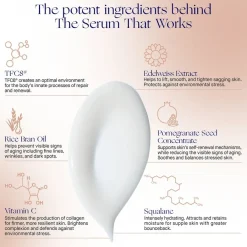 Augustinus Bader Gesicht The Serum Nomad Nachfüllung von