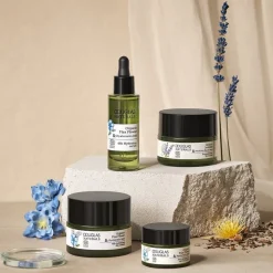 Douglas Collection Gesichtspflege Regenerating Face Mask von