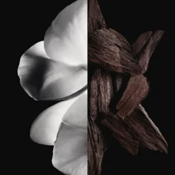 GIVENCHY GENTLEMAN Boisée Eau de Parfum Spray