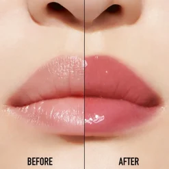 DIOR Gloss Addict Lip Maximizer Aufpolsternder Lipgloss – Feuchtigkeitspflege und Volumeneffekt – Sofort und langanhaltend von