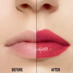 DIOR Gloss Addict Lip Maximizer Aufpolsternder Lipgloss – Feuchtigkeitspflege und Volumeneffekt – Sofort und langanhaltend von