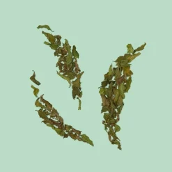 Gucci Guilty Pour Homme Essence Eau de Toilette Spray von Sale