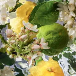 GUERLAIN Aqua Allegoria Bergamote Calabria Eau de Toilette Spray