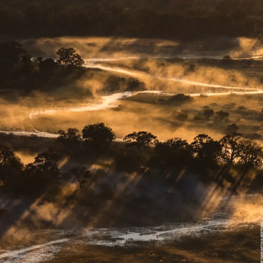 GUERLAIN Aqua Allegoria Bosca Vanilla Forte Eau de Parfum Spray
