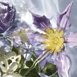 GUERLAIN Aqua Allegoria Flora Salvaggia Eau de Toilette Spray Online