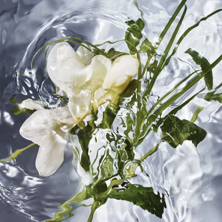 GUERLAIN Aqua Allegoria Herba Fresca Eau de Toilette Spray Clearance