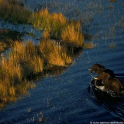 GUERLAIN Aqua Allegoria Mandarine Basilic Forte Eau de Parfum Spray