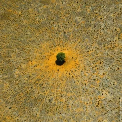 GUERLAIN Aqua Allegoria Mandarine Basilic Eau de Toilette Spray