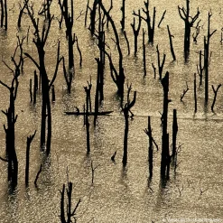 GUERLAIN Aqua Allegoria Nerolia Vetiver Forte Eau de Parfum Spray