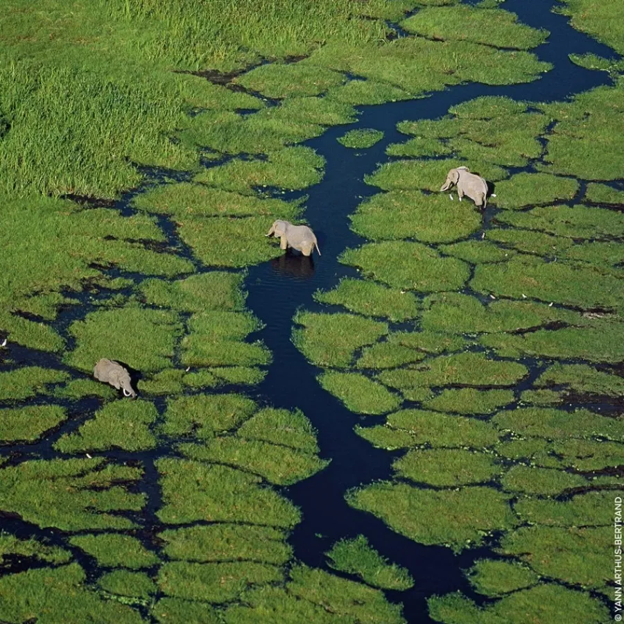 GUERLAIN Aqua Allegoria Orange Soleia Eau de Toilette Spray