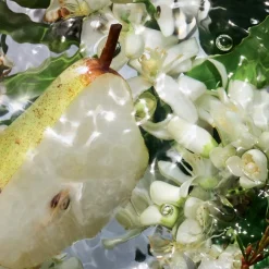 GUERLAIN Aqua Allegoria Pera Granita Eau de Toilette Spray