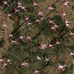 GUERLAIN Aqua Allegoria Rosa Rossa Eau de Toilette Spray