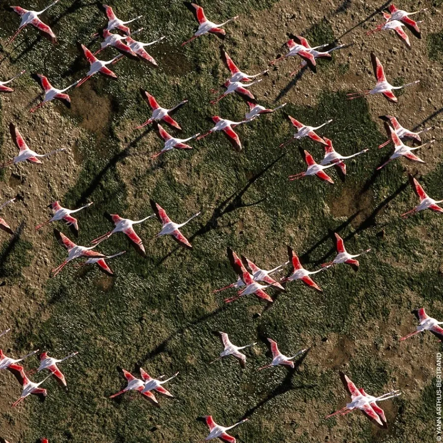 GUERLAIN Aqua Allegoria Rosa Rossa Eau de Toilette Spray