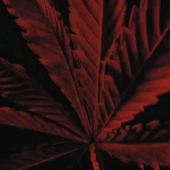 GUERLAIN Habit Rouge L'Instinct Eau de Toilette Spray Intense